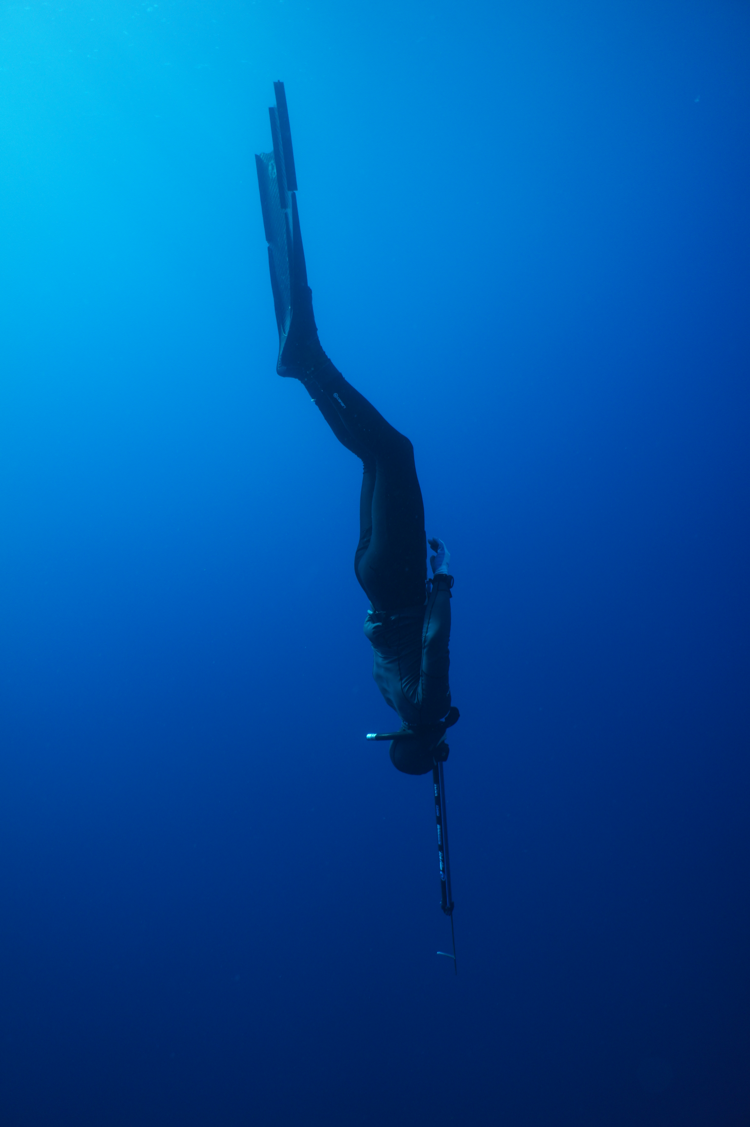 Freediving & Spearfishing Floats – Page 2 – House of Scuba