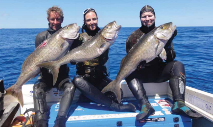 Attaching a cooler/place to put my catch on the float? : r/Spearfishing