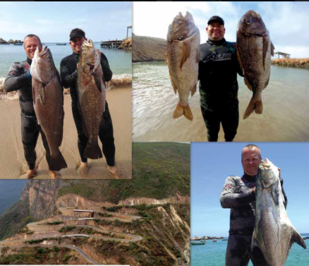 Game Fishing Angola - Home