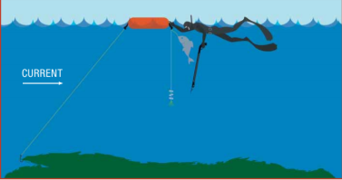 Float Line Clutch 'Reel In' Fish Works With Single or Multiple Floats 