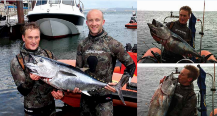UK Tuna – Ultimate Spearfishing – Home