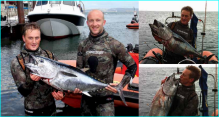 Fish stringer - Spearfishing Ireland