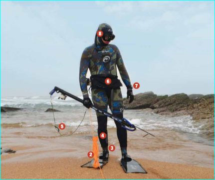 Back to Basics Going Clipless – Ultimate Spearfishing – Home