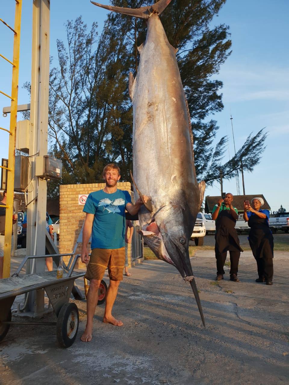 World Record Black Marlin