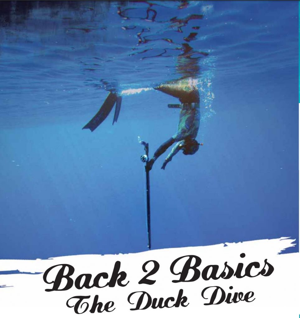 back-2-basics-the-duck-dive-ultimate-spearfishing-home