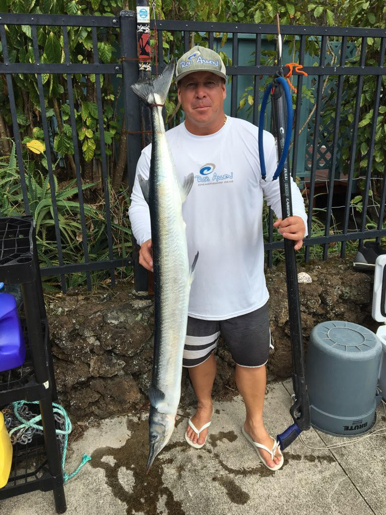 giant needlefish