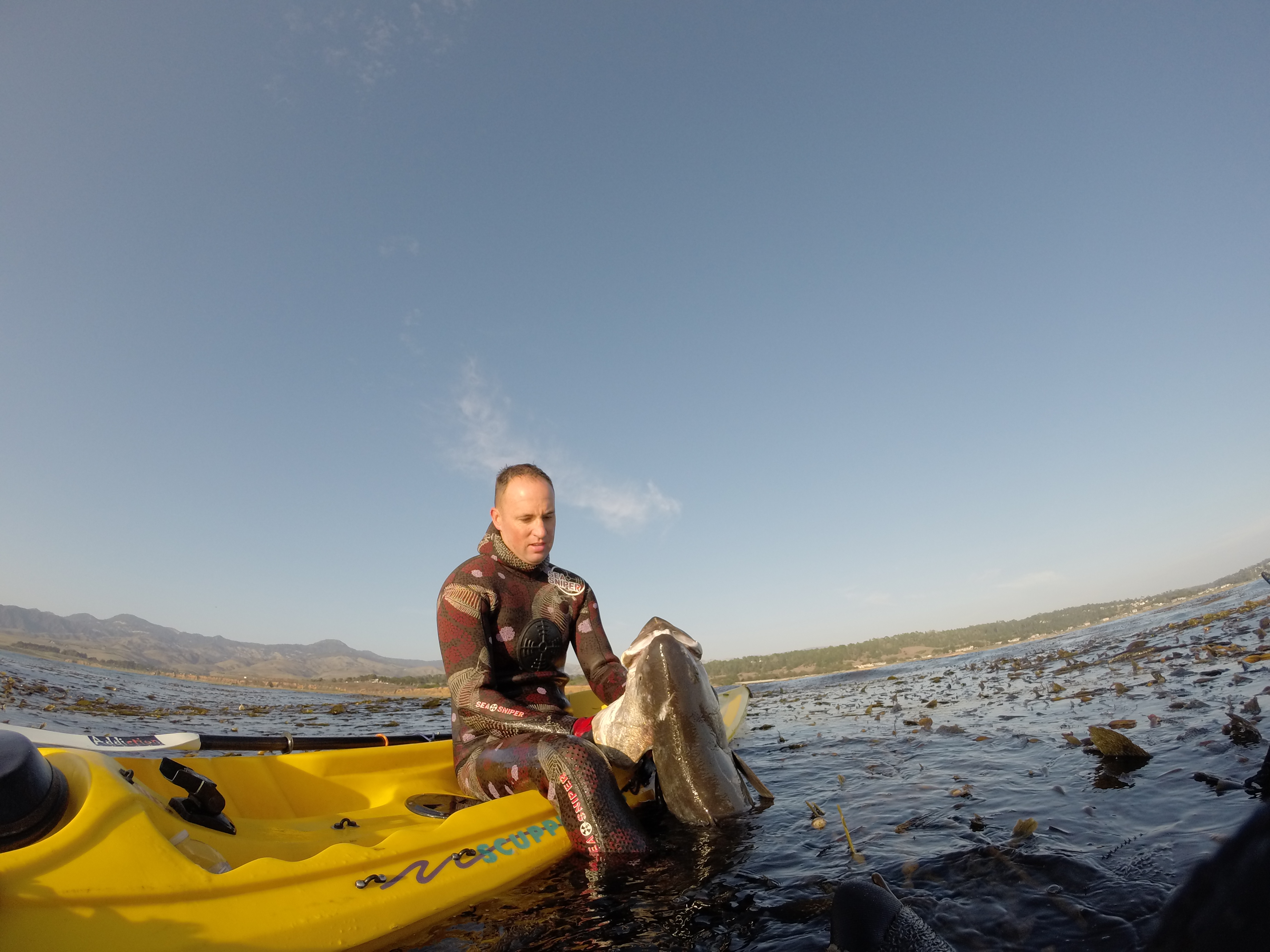 A Halloween Ghost Story: Spearfishing White SeaBass - Jackson Kayak