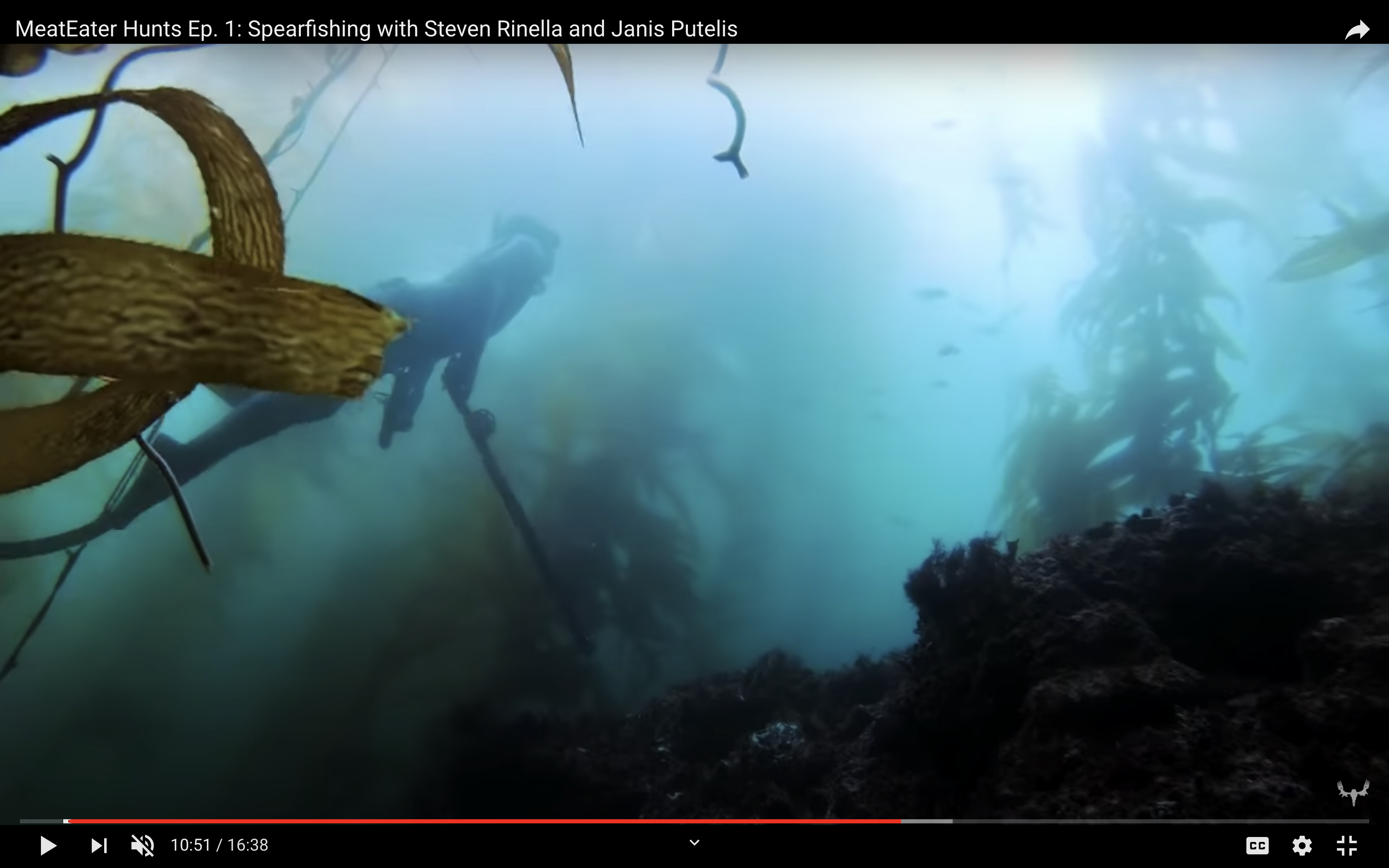 Ultimate Spearfishing – Home – Your One Stop Resource for Spearfishing