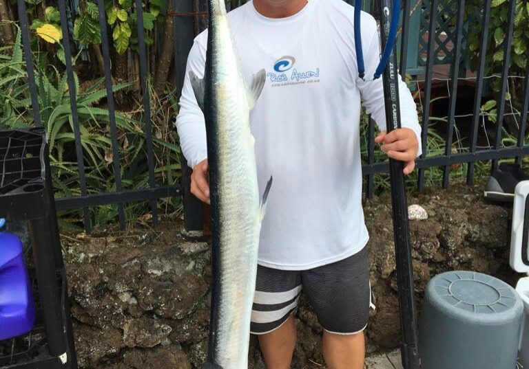 AHA_Needlefish
